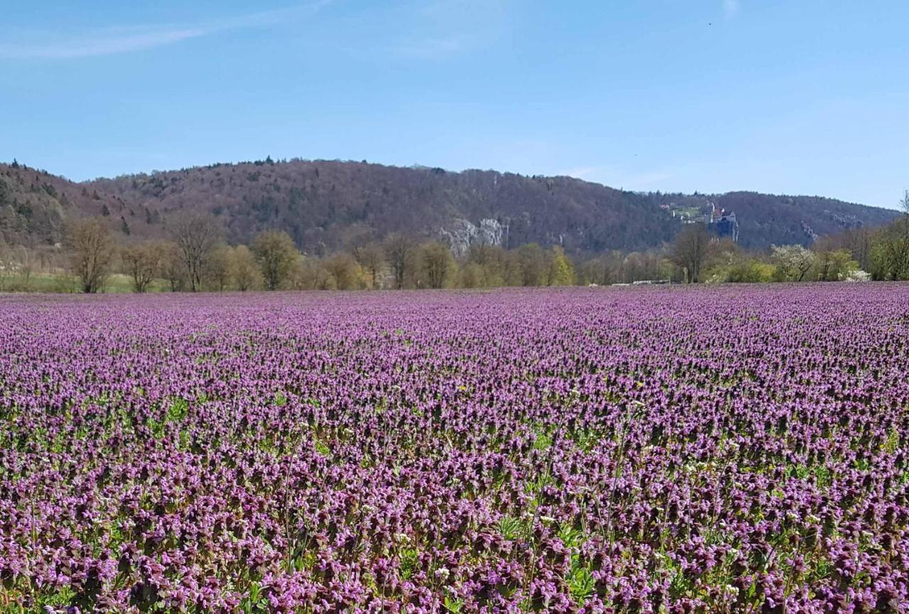 Fewo Lehner Riedenburg Exteriör bild