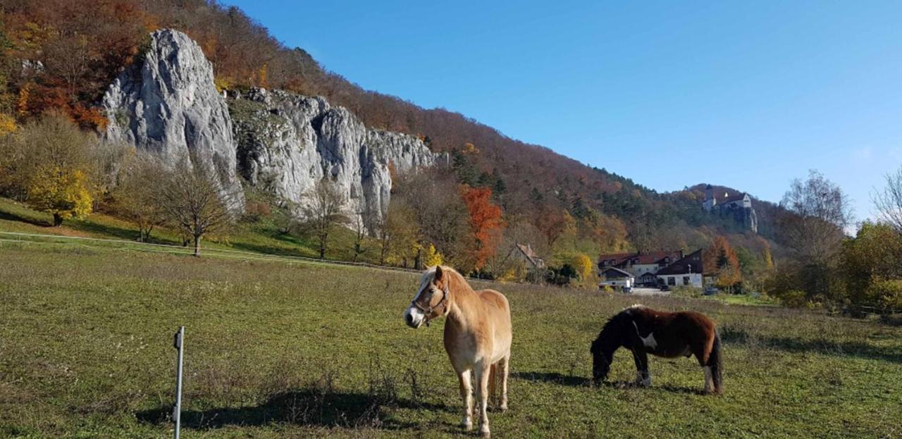 Fewo Lehner Riedenburg Exteriör bild